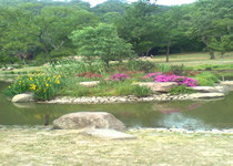 [ʫ]ⰻȻ֮ʯ